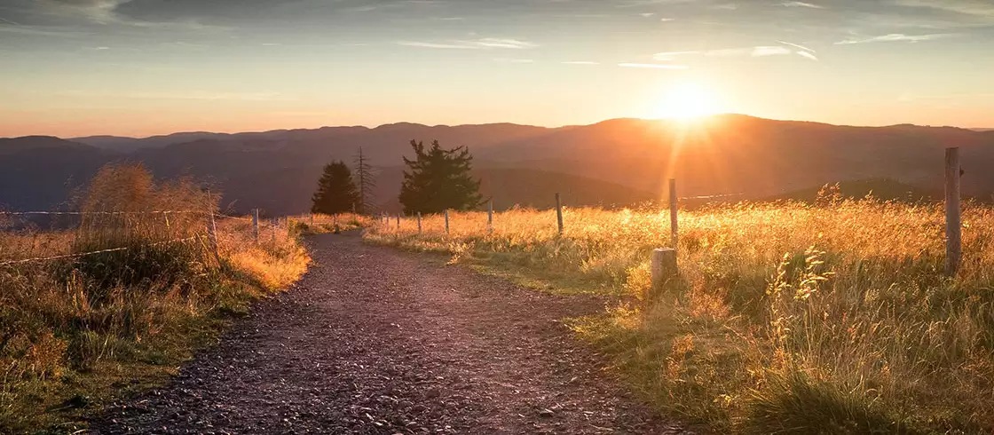 Roadmap to carbon reduction