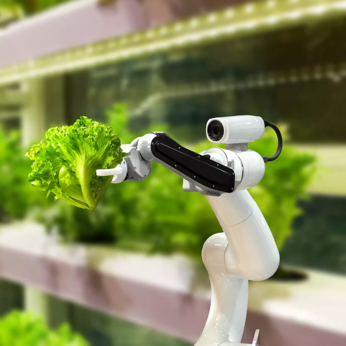 sustainability