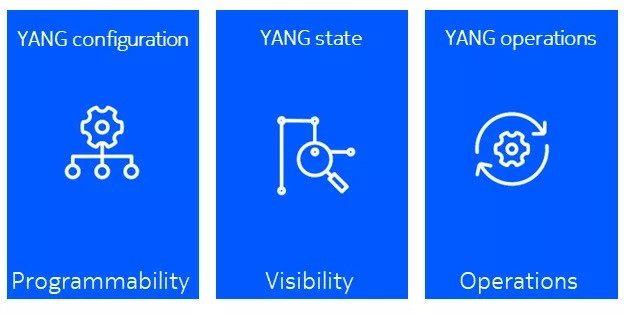 YANG models