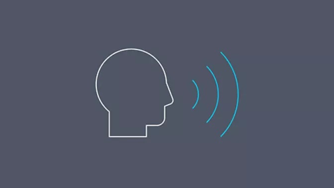 Enhanced Voice Service (EVS) icon