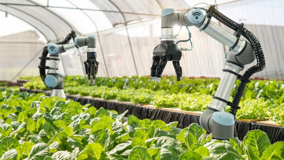 robotic arm