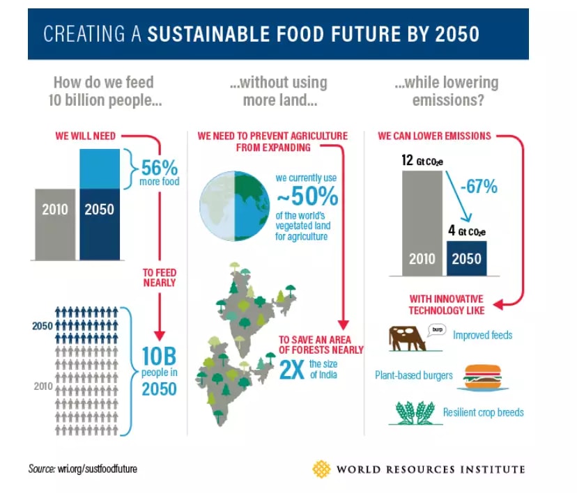 sustainable food future