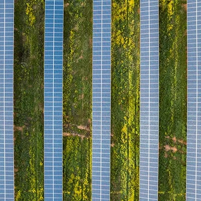 Overhead view of lines of solar panels in field