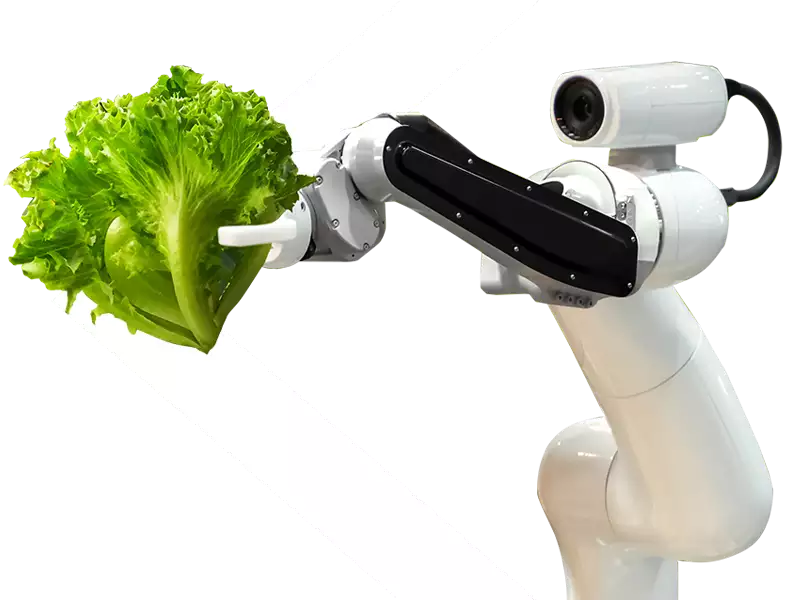 robot arm