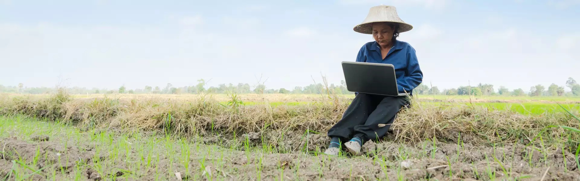 Woman Using Laptop While Sitting On Field In Farm
