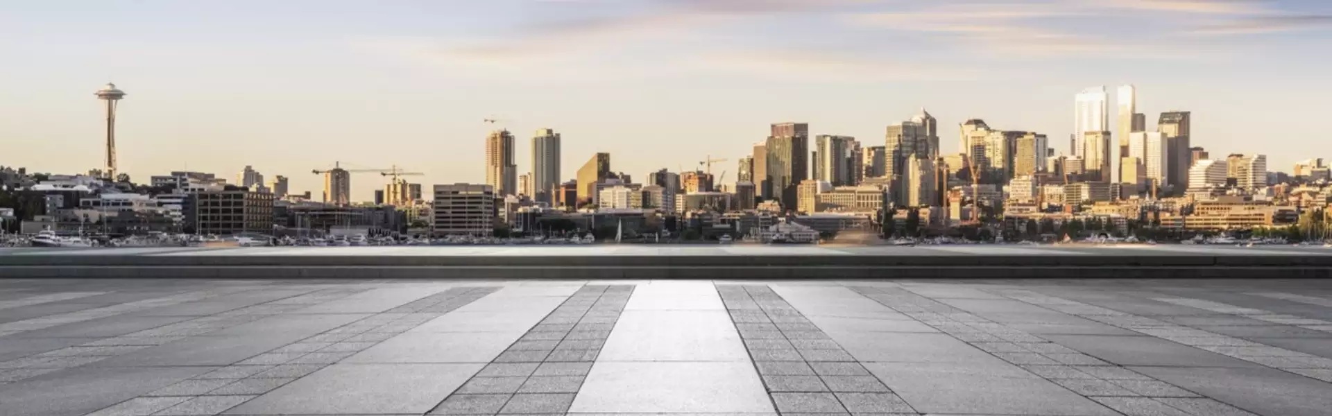 header image monetization survey
