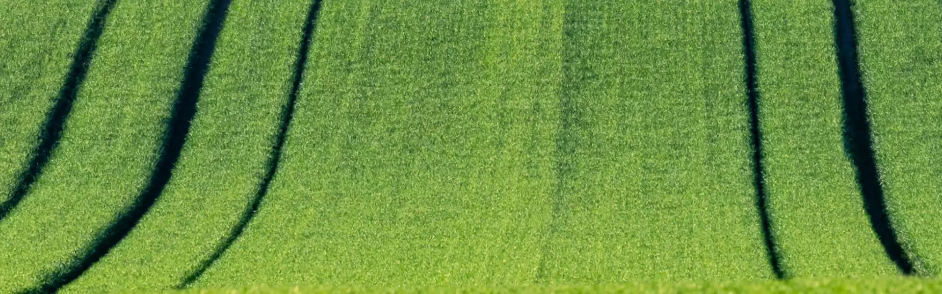 Circular practices and solutions