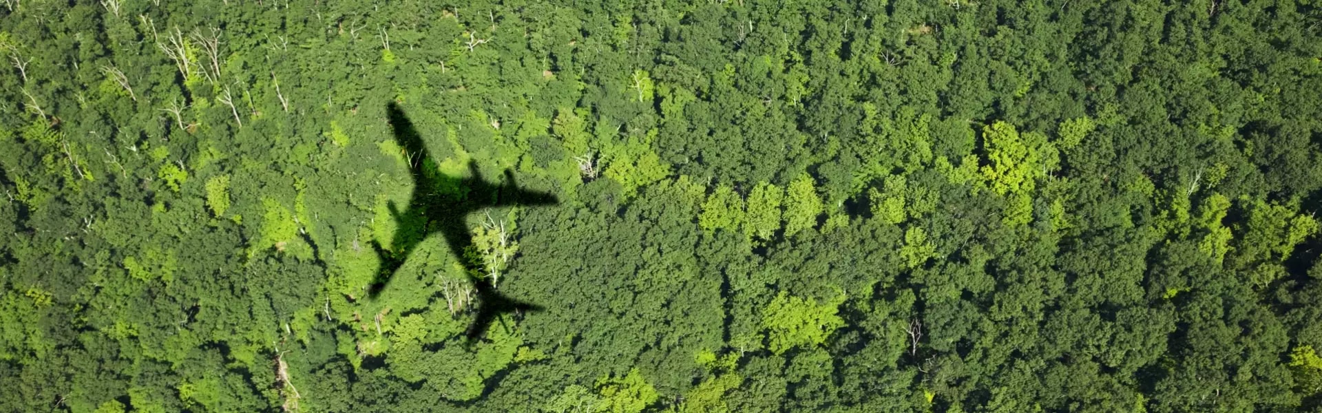 shadow of flight