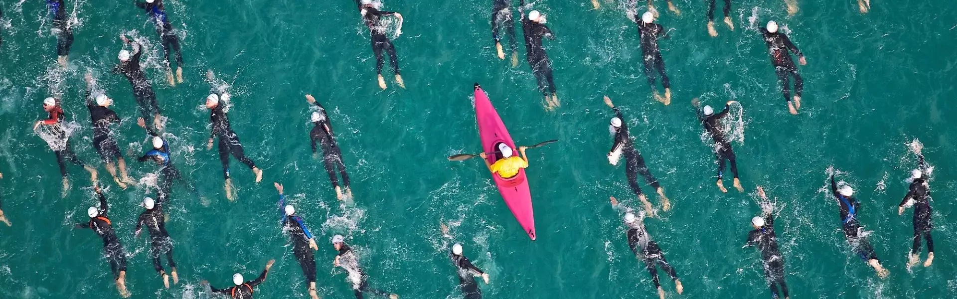 swimmers
