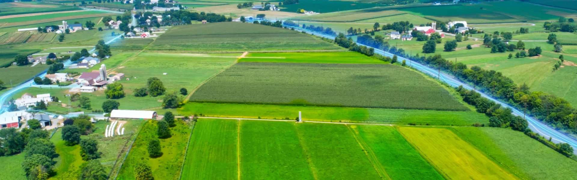 farm