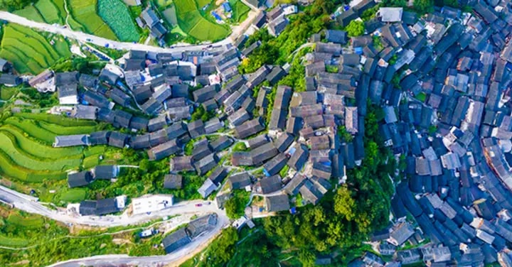 Broadband is critical for unlocking the lockdown