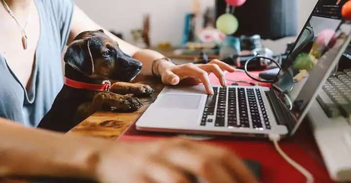 Connecting every home with converged fixed and wireless broadband access