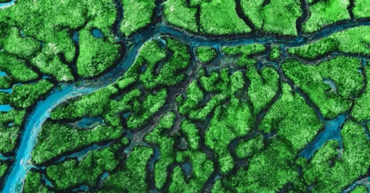 Mining’s critical role in building a sustainable future