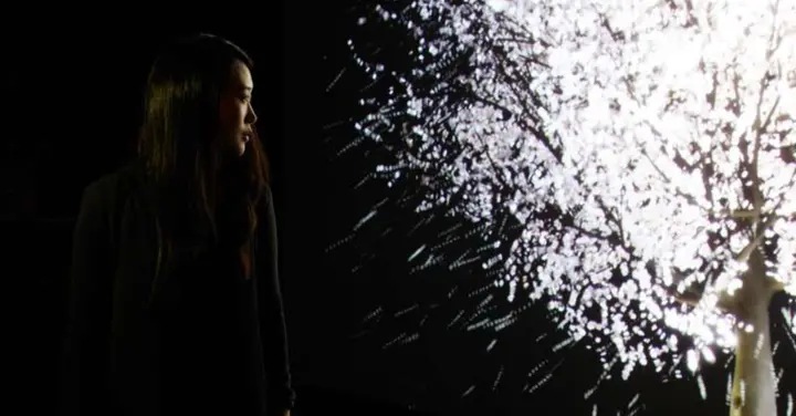 A discussion with Lisa Park on inner states and the heart of human communication