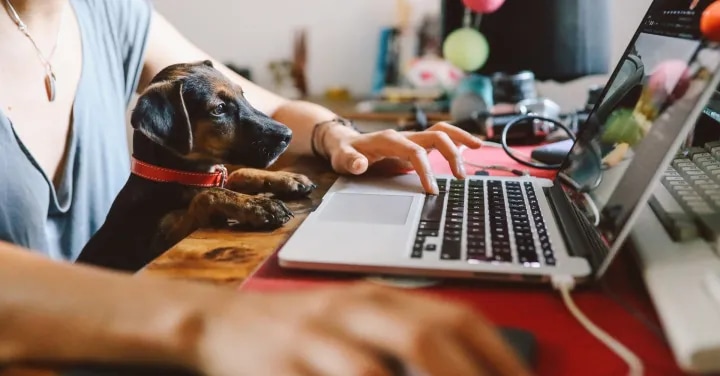Connecting every home with converged fixed and wireless broadband access