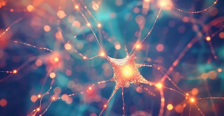 The network that turns data centers into AI brains