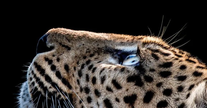 Four threats CISOs must clear to keep networks resilient in 2025