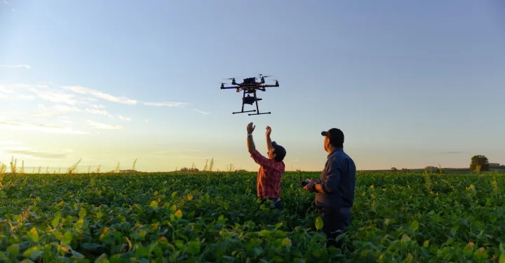 Beyond the horizon: How network APIs optimize drone flights