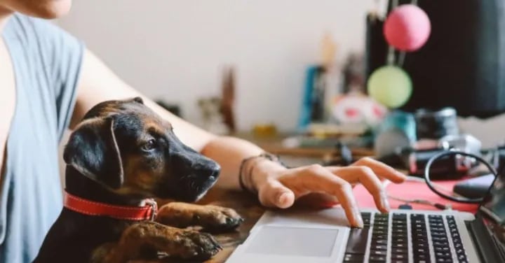 Boundaries set you free: Why open standards matter more than ever for Wi-Fi