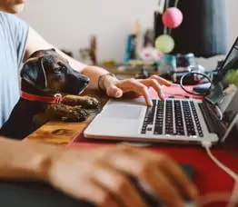 Connecting every home with converged fixed and wireless broadband access
