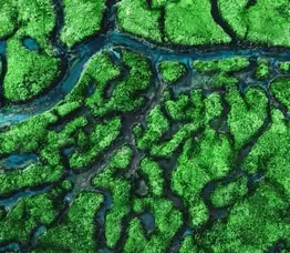 Mining’s critical role in building a sustainable future