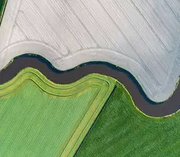 Artificial intelligence can reduce your carbon footprint by 30 percent now
