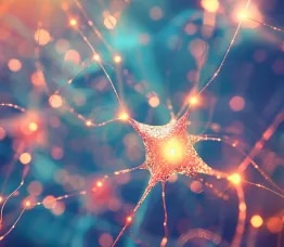 The network that turns data centers into AI brains