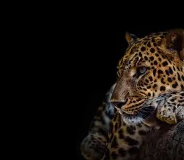 Four threats CISOs must clear to keep networks resilient in 2025