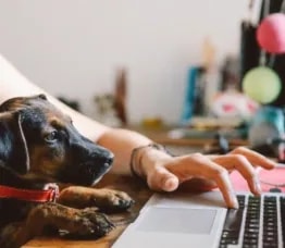 Boundaries set you free: Why open standards matter more than ever for Wi-Fi