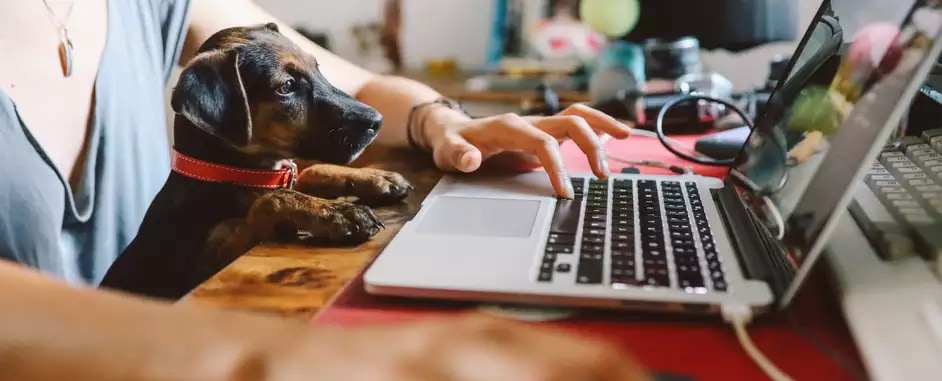 Connecting every home with converged fixed and wireless broadband access