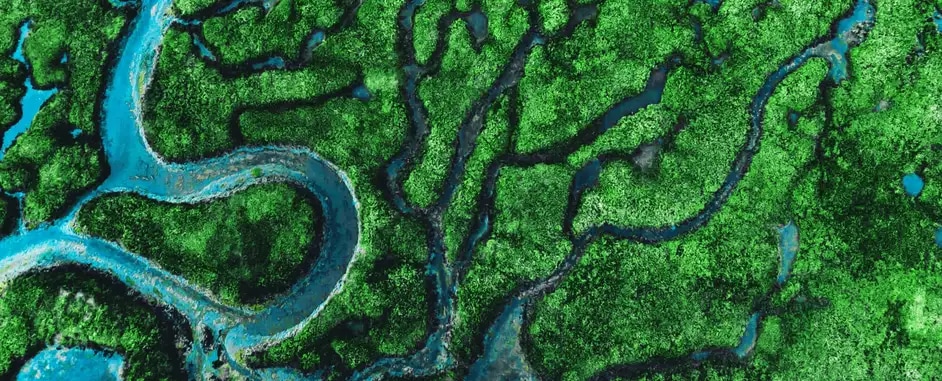 Artificial intelligence can reduce your carbon footprint by 30 percent now
