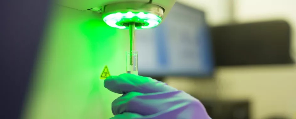 Collaboration is Driving Research and Education Networks around the Globe