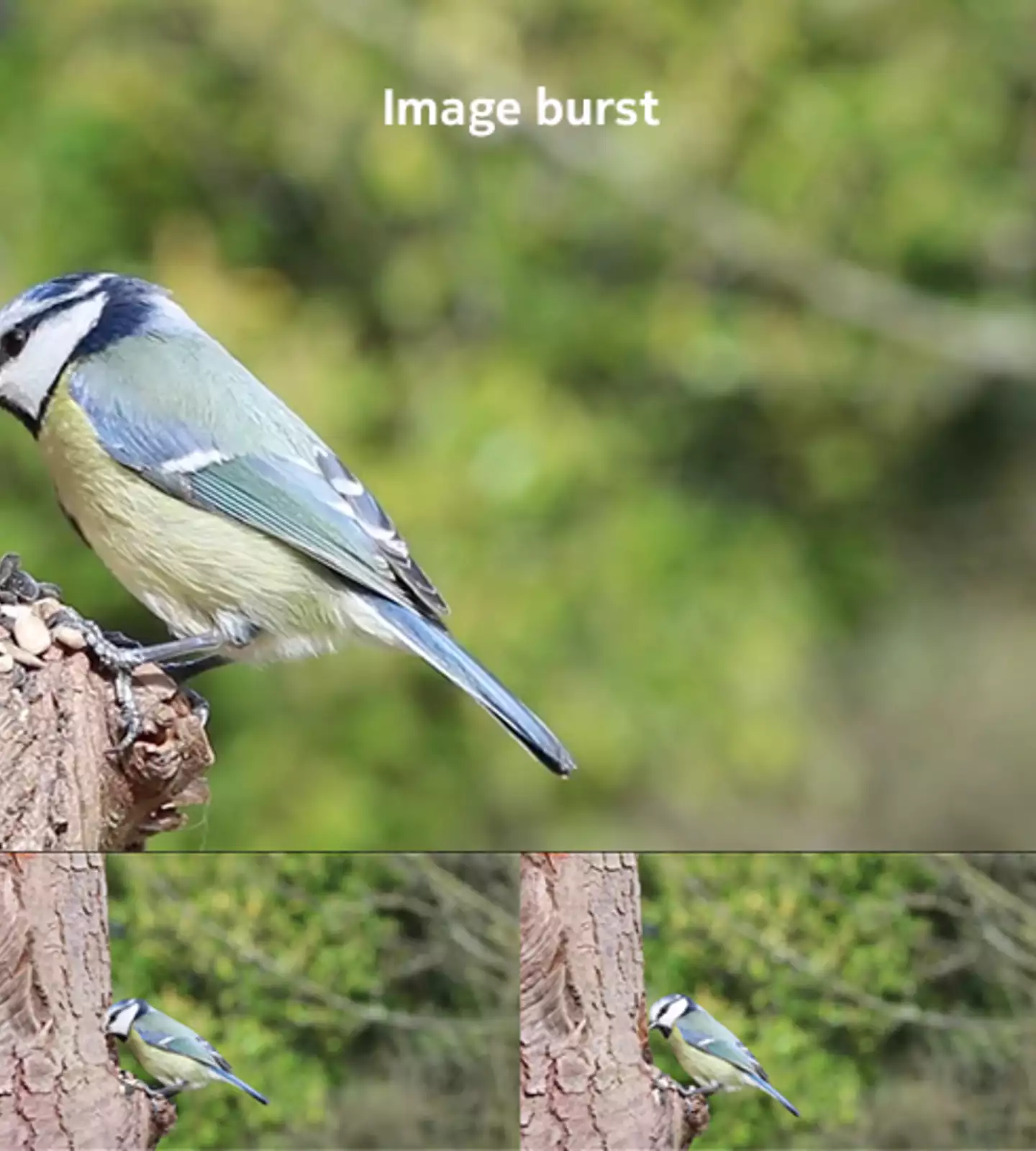 image burst