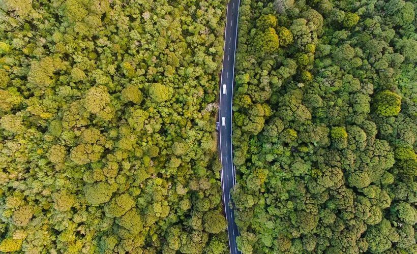 Sensing and analyzing air quality