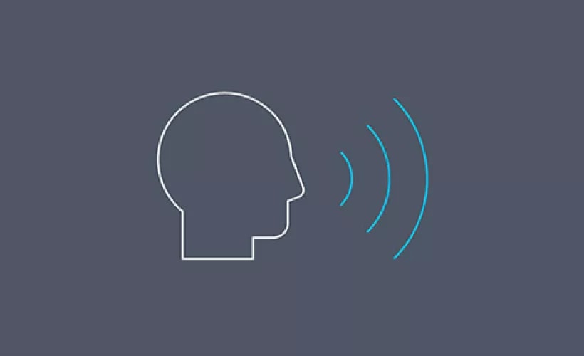 Enhanced Voice Service (EVS) icon