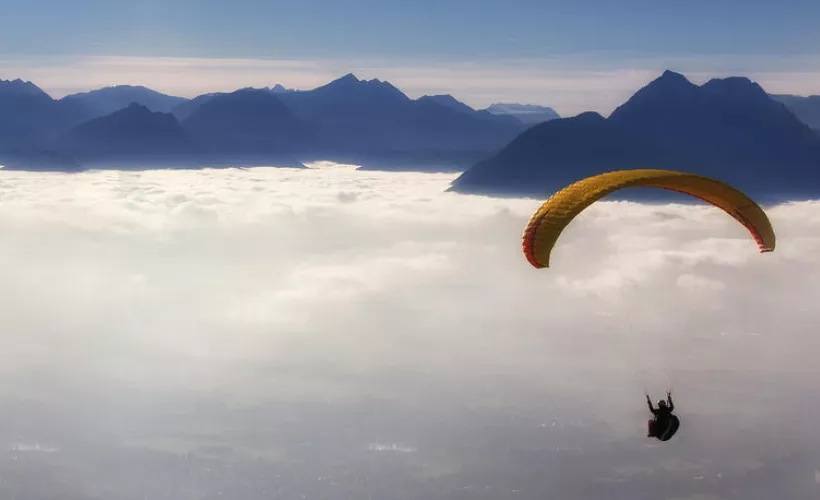 Openness drives innovation