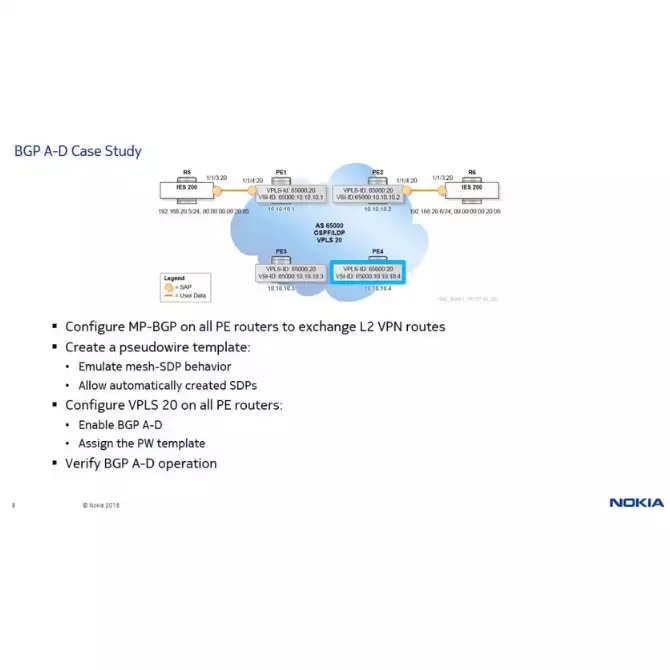 BGP Auto-Discovery (A-D) in a VPLS
