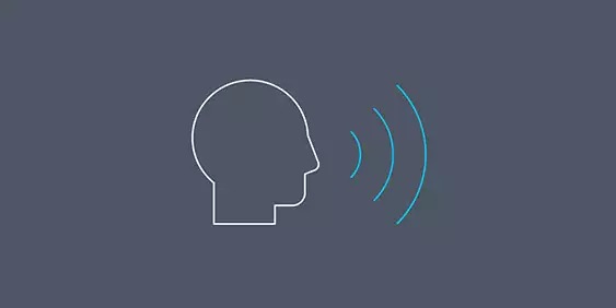 Enhanced Voice Service (EVS) icon