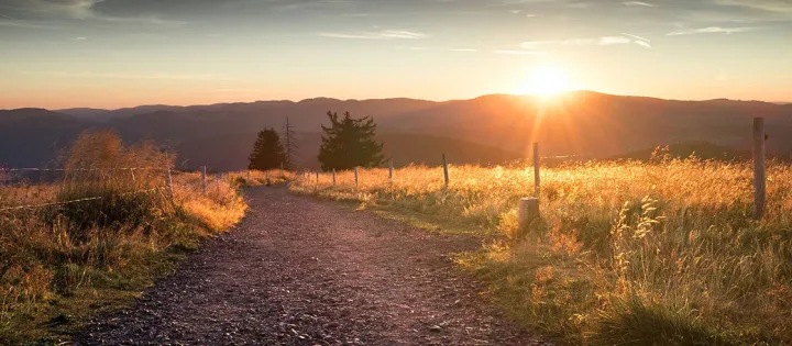 Roadmap to carbon reduction
