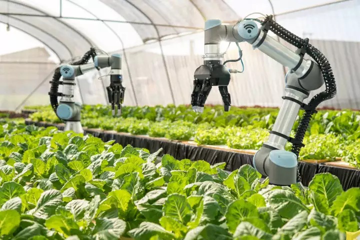 robot arm agriculture