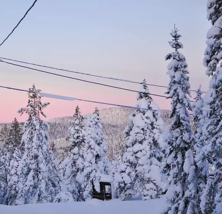 winter scene