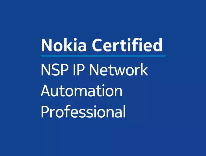 NSP IP logo