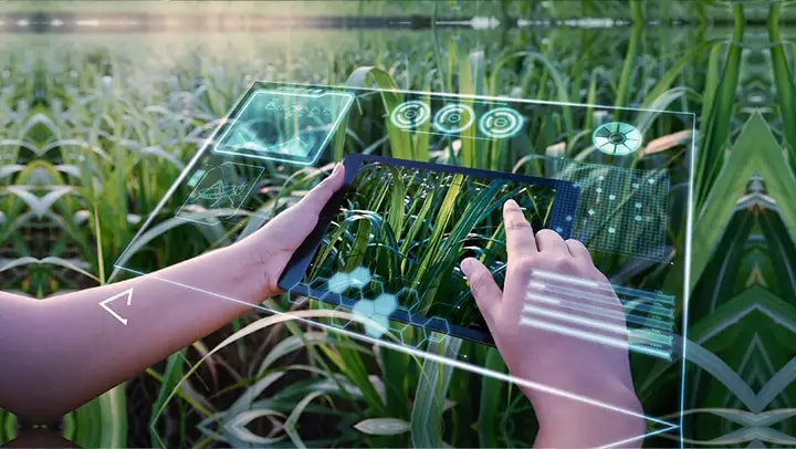 A person using an augmented reality dashboard to examine agricultural crops in a field