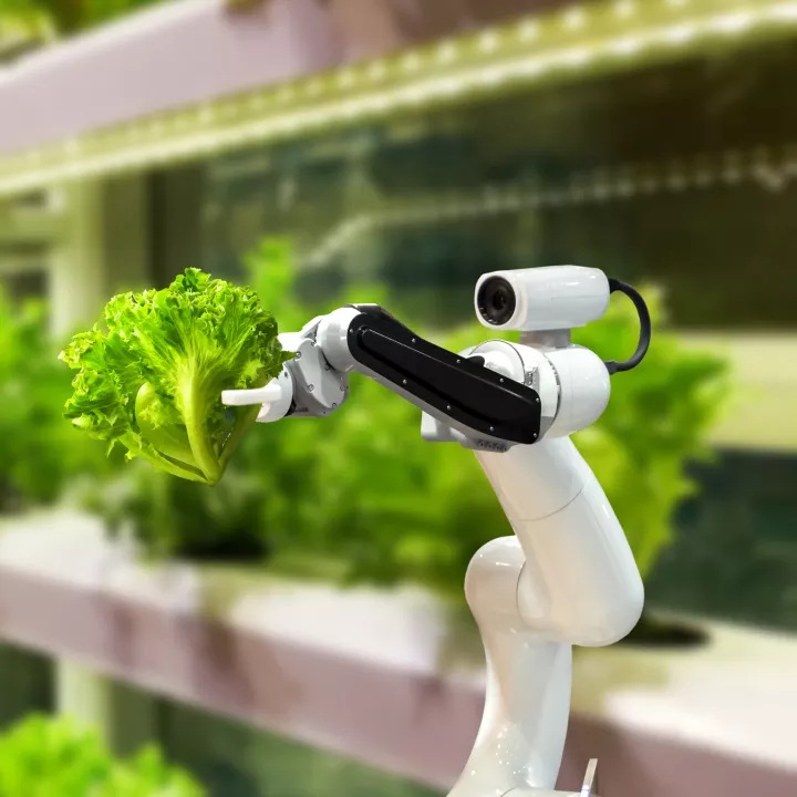 sustainability