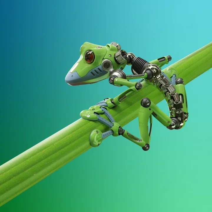 innovation