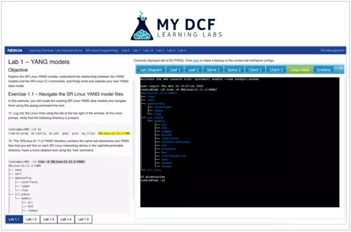 My DCF Learning Labs image