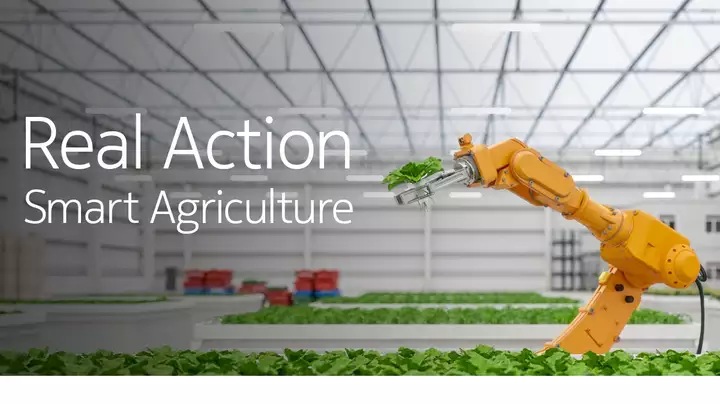 smart agriculture