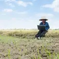 Woman Using Laptop While Sitting On Field In Farm