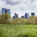 Runner in Central Park with skyscrapers in background
