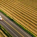 transport